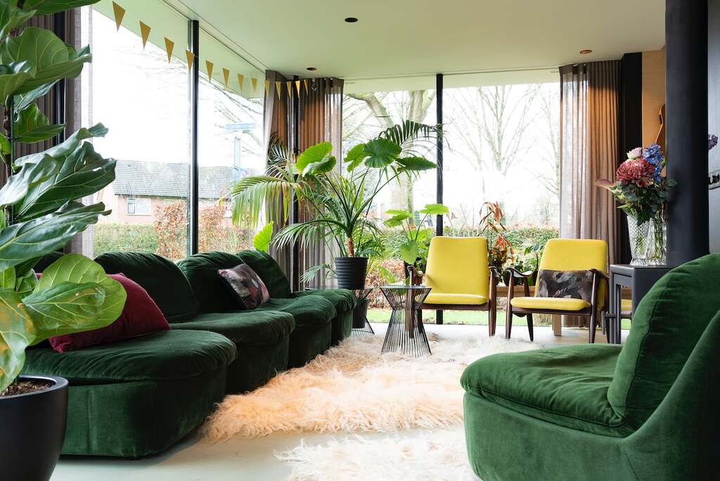 a green couch near plants in a sunroom