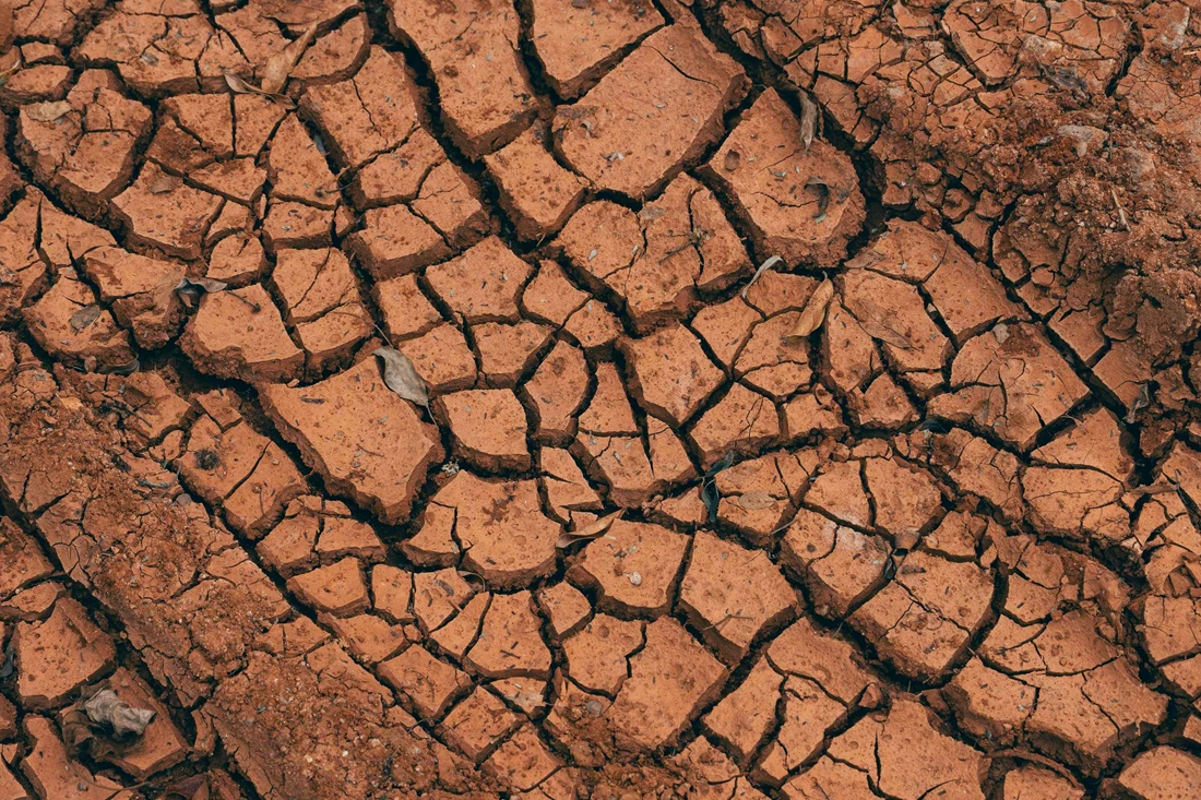 How Expansive Clay Soil Destroys Foundations - And What Homeowners Can Do About It