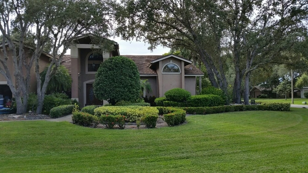 Landscaping Ideas to Improve Drainage in Largo Properties