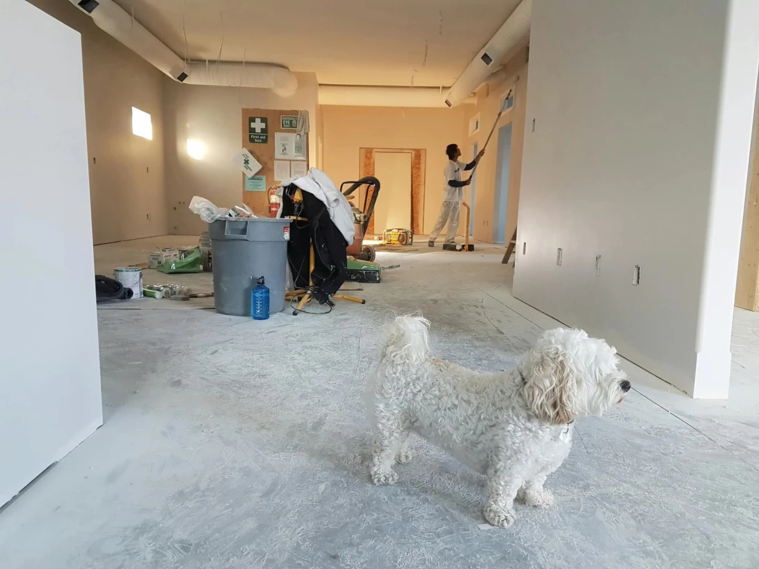 Common Renovation Mistakes and How to Avoid Them