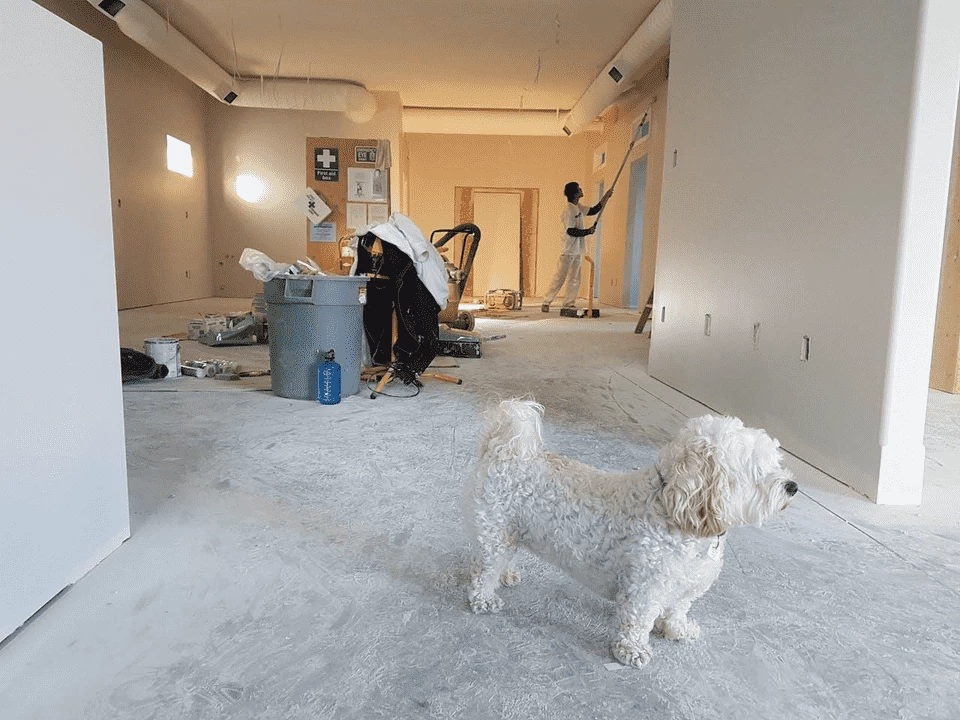 The Half-Renovated Home: What Happens When You Move Into Someone Else’s Unfinished Vision