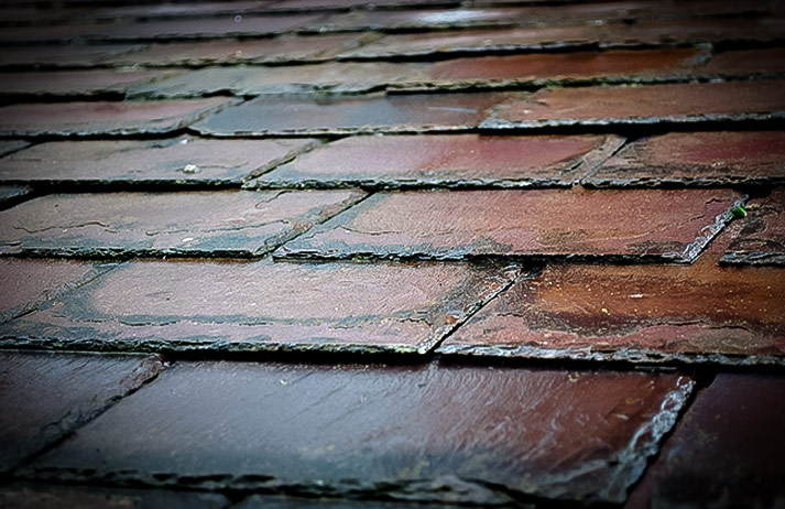 8 Common Roof Problems Homeowners Need to Deal With