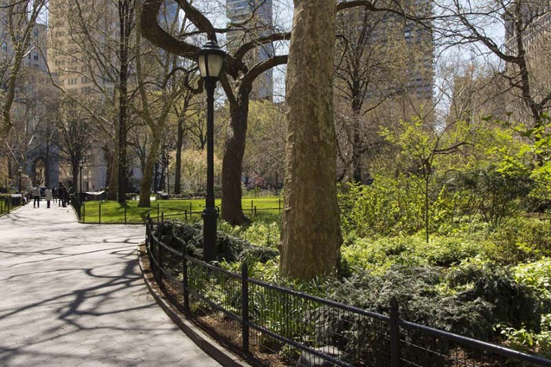 Interested in Advocating for Public Parks? Here’s How to Get Started