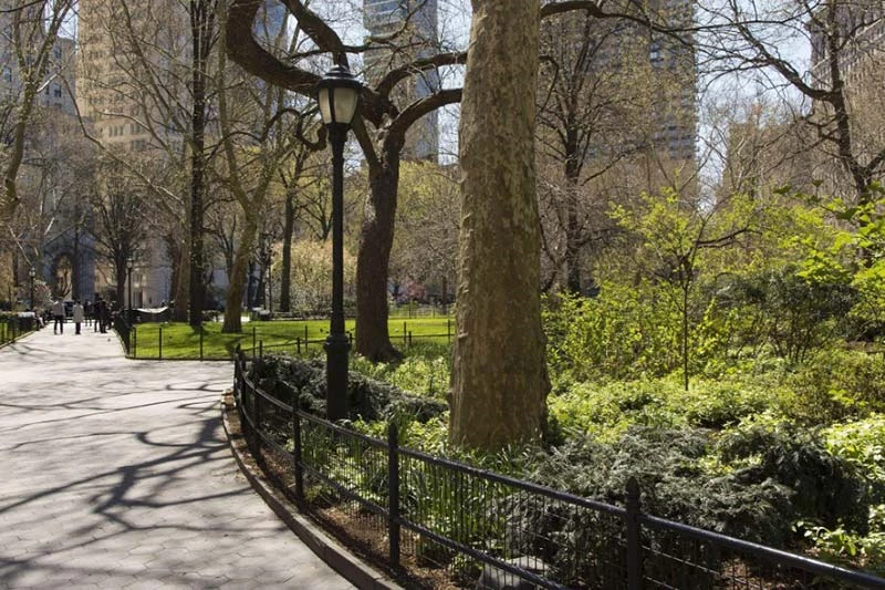 Interested in Advocating for Public Parks? Here’s How to Get Started