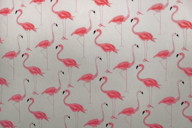 A flamingo print wallpaper