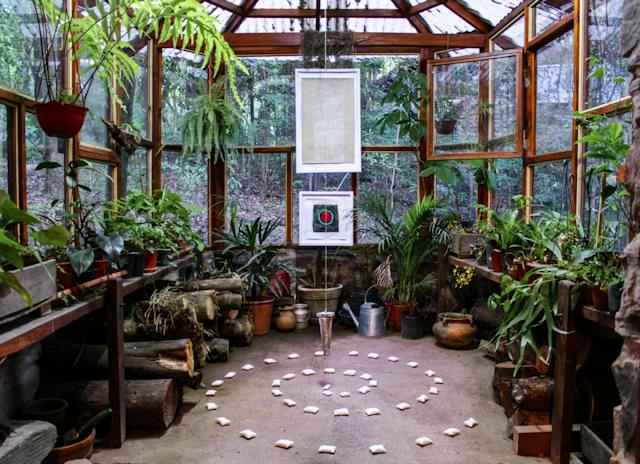 a greenhouse full of green plants