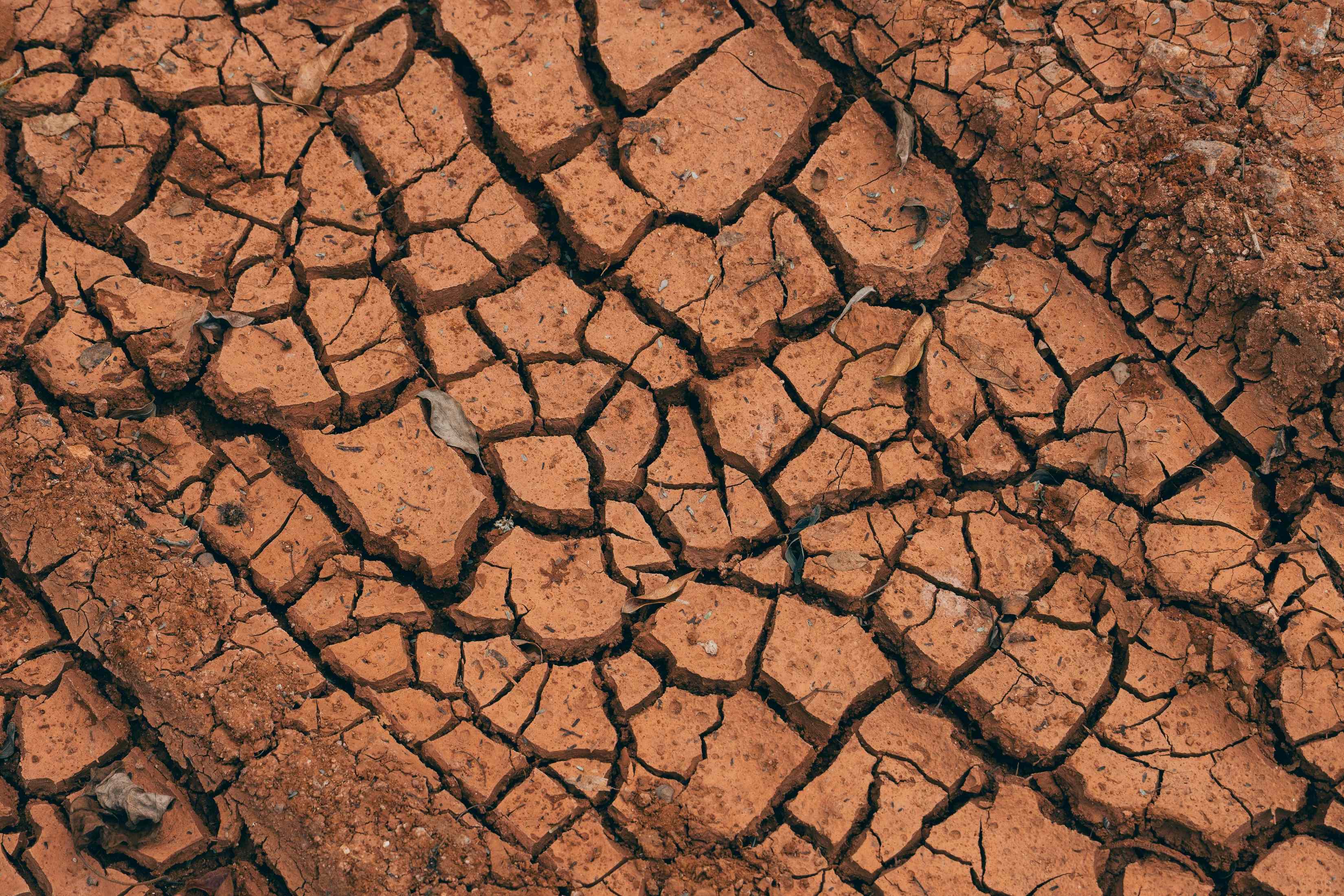 How Expansive Clay Soil Destroys Foundations - And What Homeowners Can Do About It