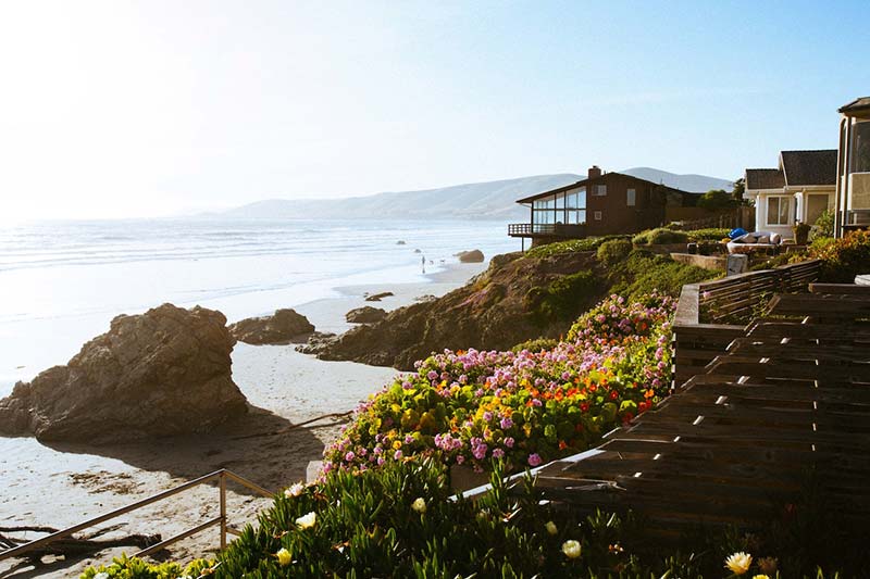 Houses aligned on the beach near the ocean. 