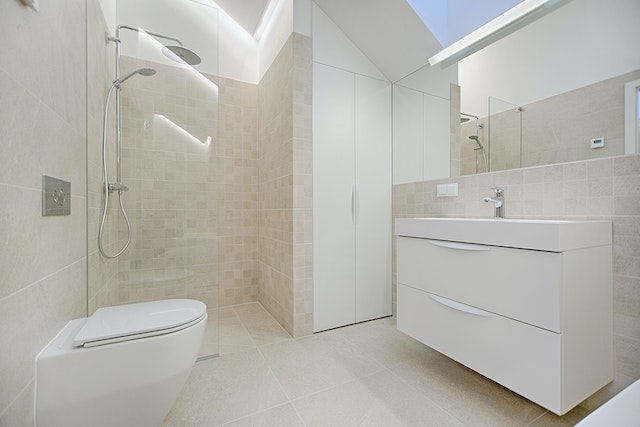 A white bathroom with elderly accessibility