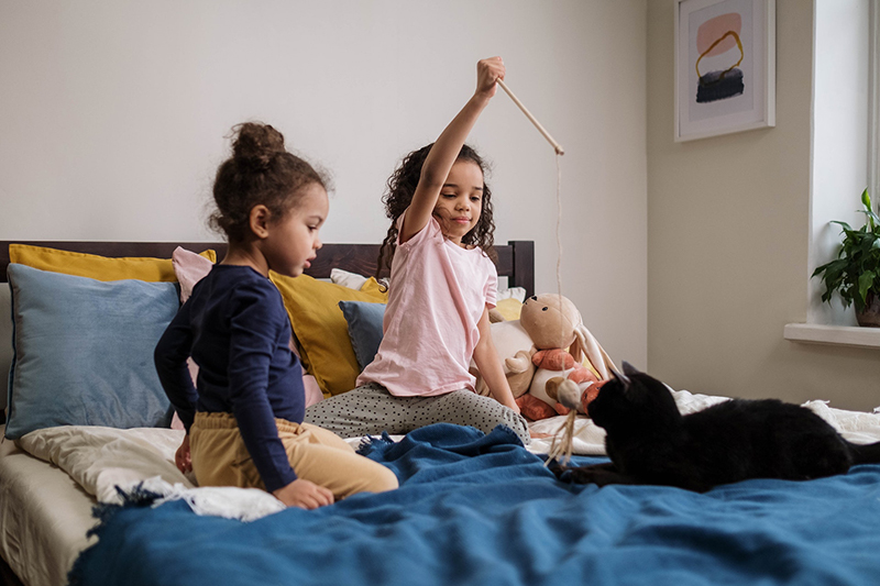 two girls playing with a cat on the bed