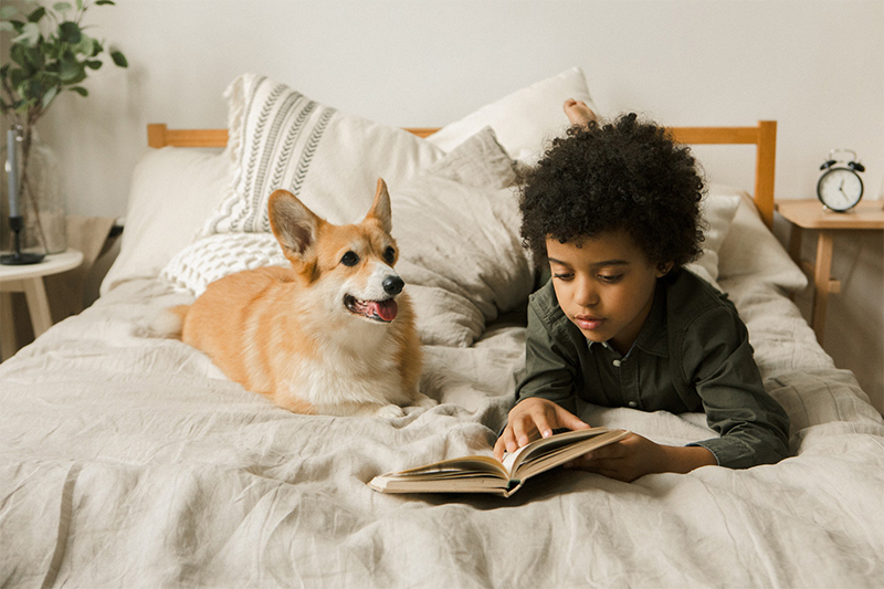 a child and a corgi lying on a bed